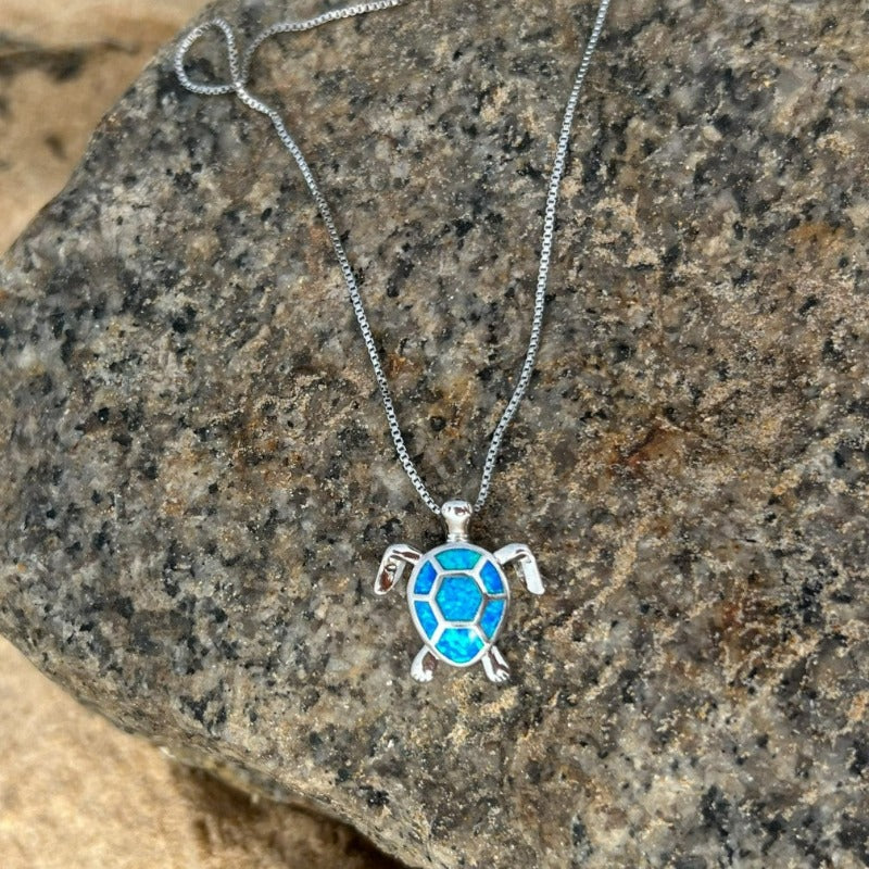 Sea turtle on a rock
